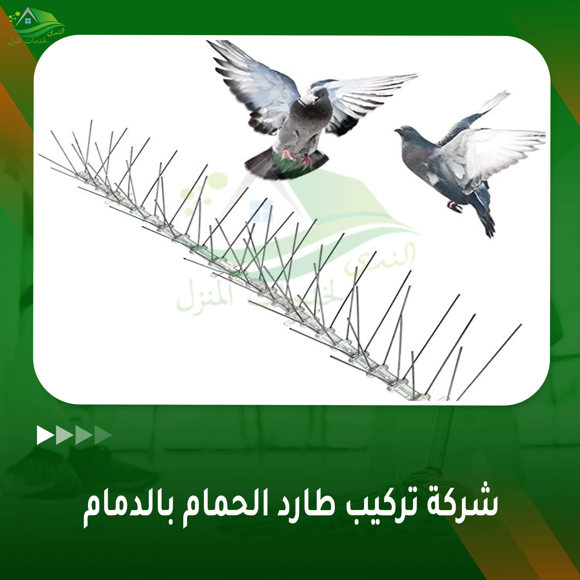 شركة تركيب طارد الحمام بالدمام